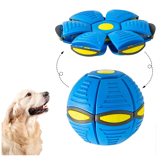 Hunde Frisbee Bold | 1+1 GRATIS